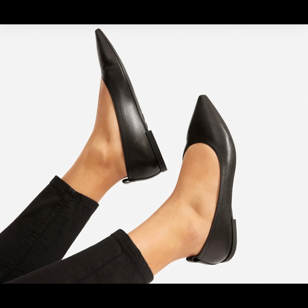 Everlane 40 hour pointed flat in black nappa leather